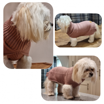 The Charlie Dog Jumper